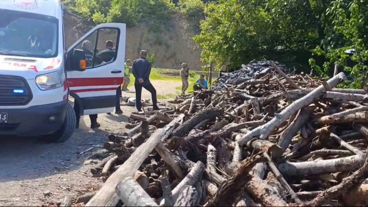 Gümüşhane'de korkunç cinayet: Eşini odunla döverek öldürdü