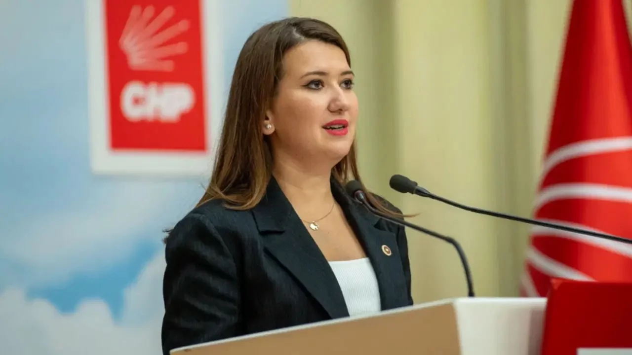 CHP'li Gökçe Gökçen'den hakkındaki iddialara yanıt: 'O yazıyı ben yazmadım'