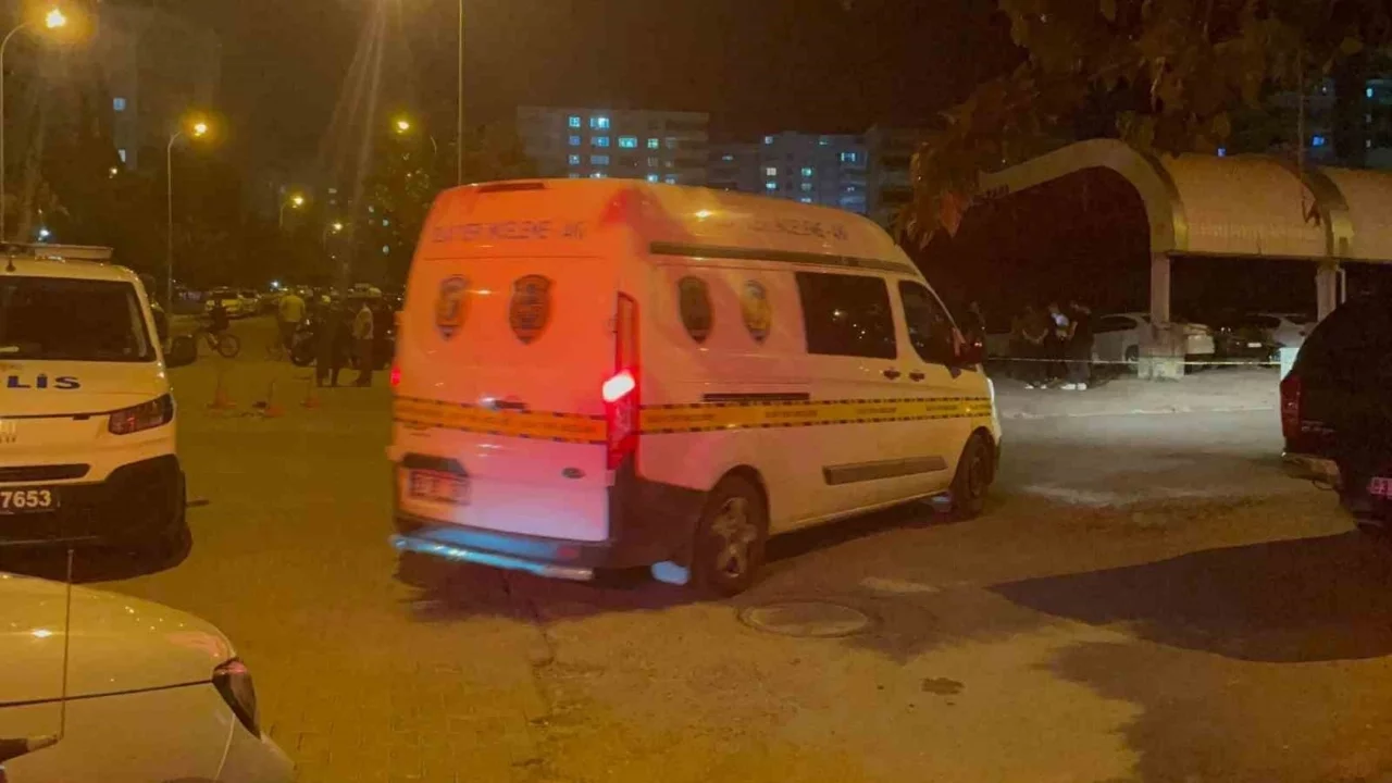Şanlıurfa'da silahlı kavga: Anne hayatını kaybetti, oğlu yaralandı
