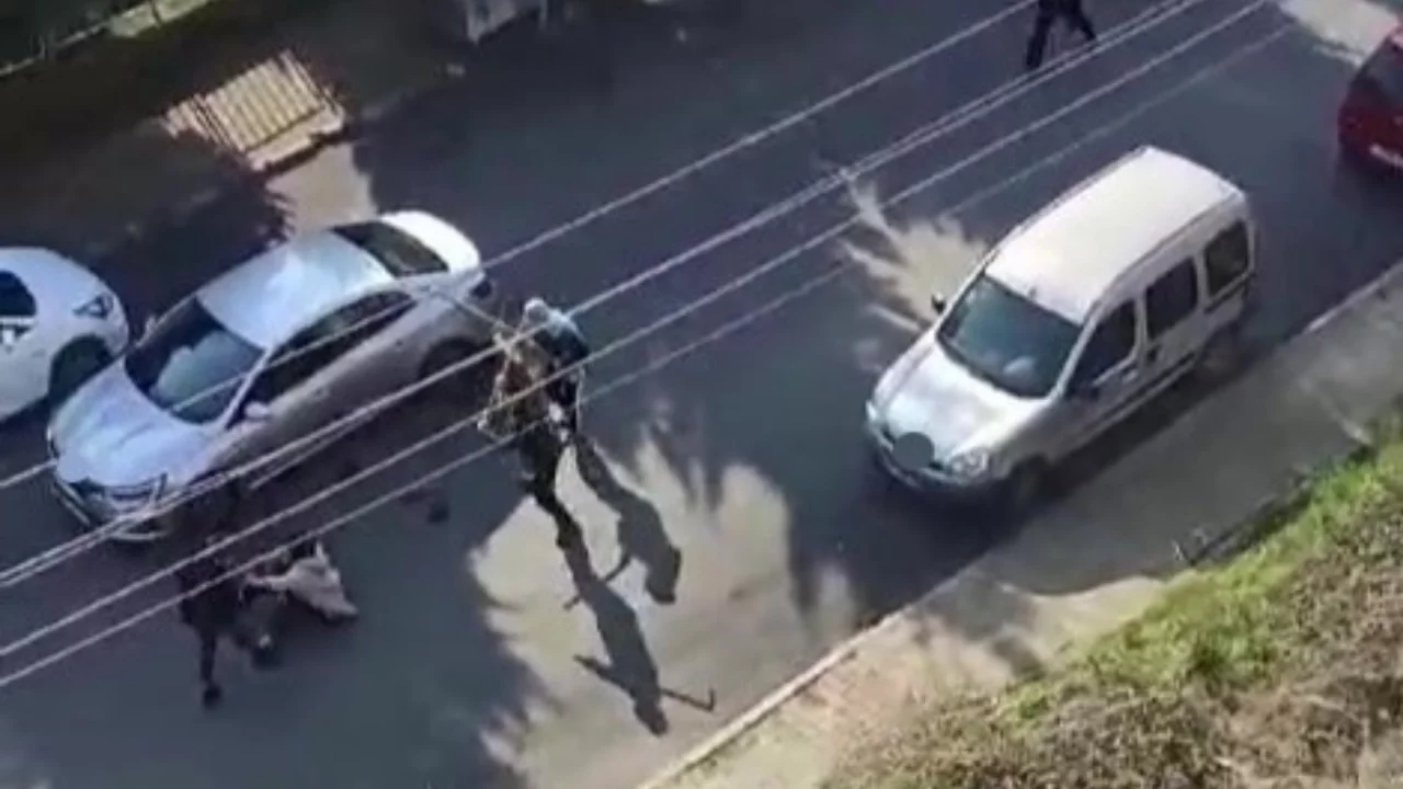 Eski eşini sokak ortasında 15 yerinden bıçaklamıştı: Dehşeti yaşatan erkek tahliye edildi