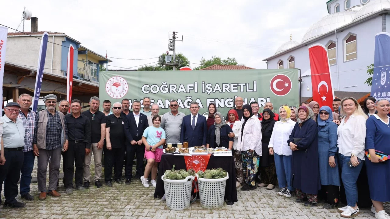 Bursa'nın tescilli lezzeti Hasanağa Enginarında hasat zamanı