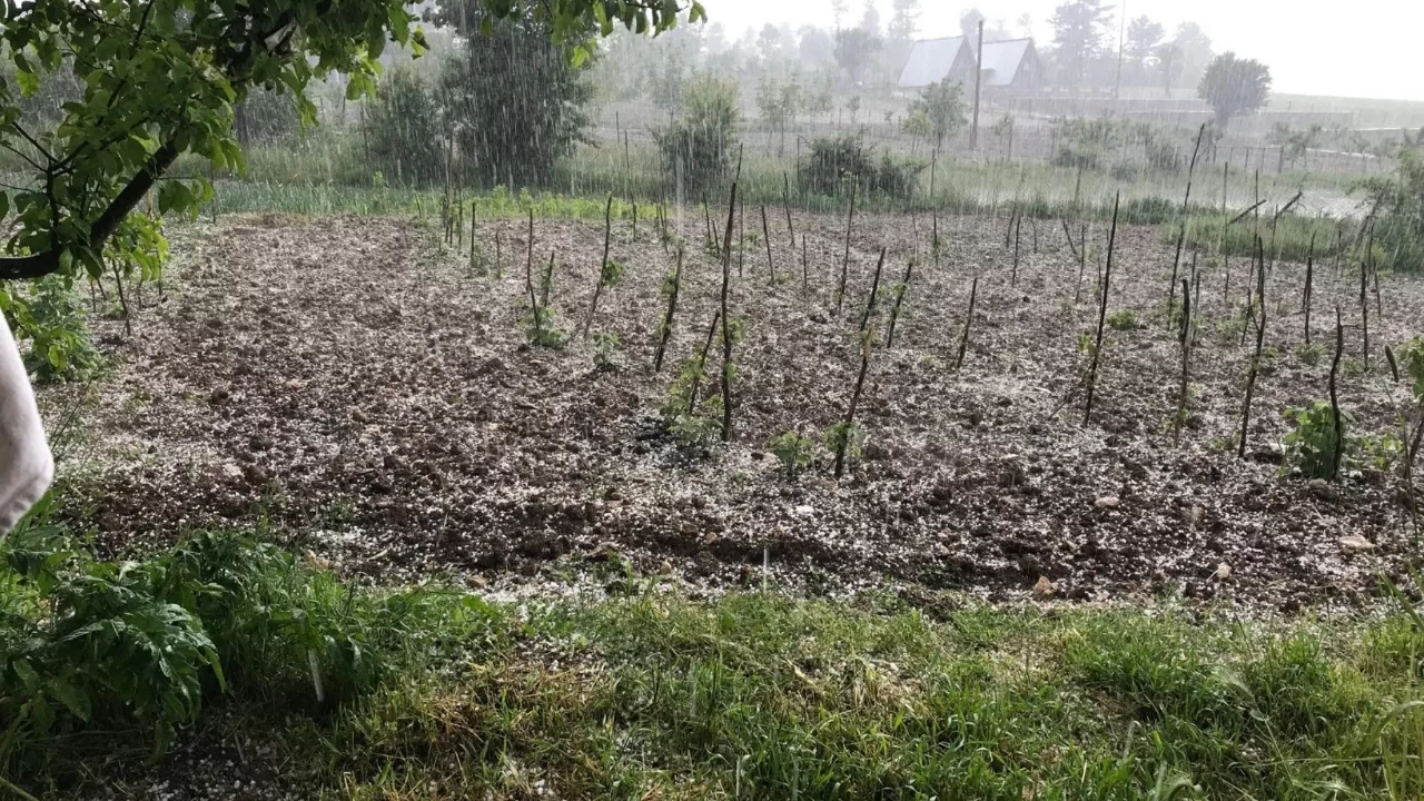 Bursa'da tarım arazilerini dolu vurdu