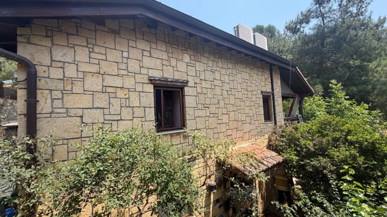 Ayvacık'ta ev yangını: 2 kedi telef oldu
