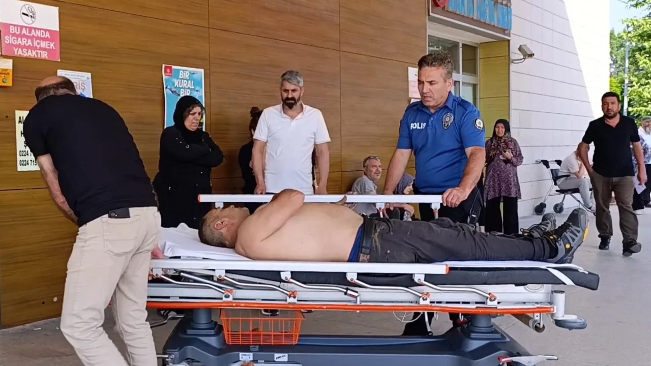 Bursa'da ağaçtan düşen adam ağır yaralandı