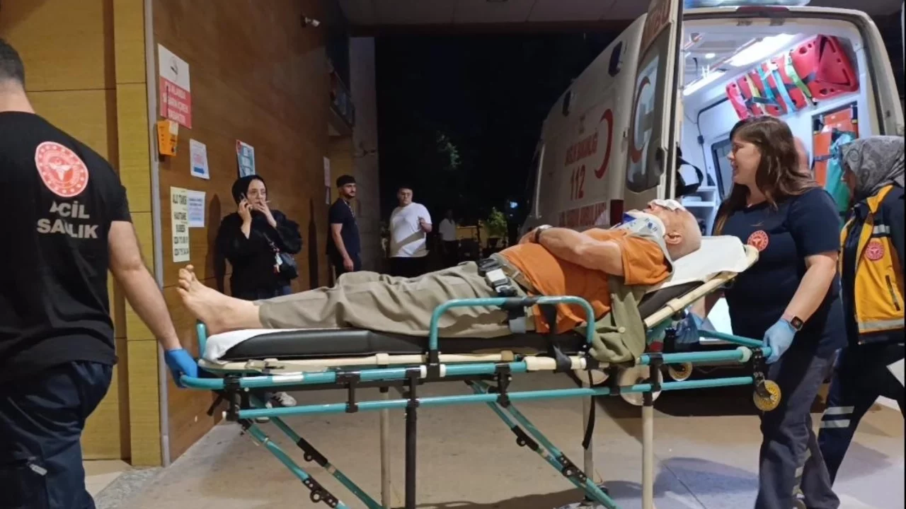 Bursa'da erik toplamak için çıktığı ağaçtan düşen yaşlı adam yaralandı