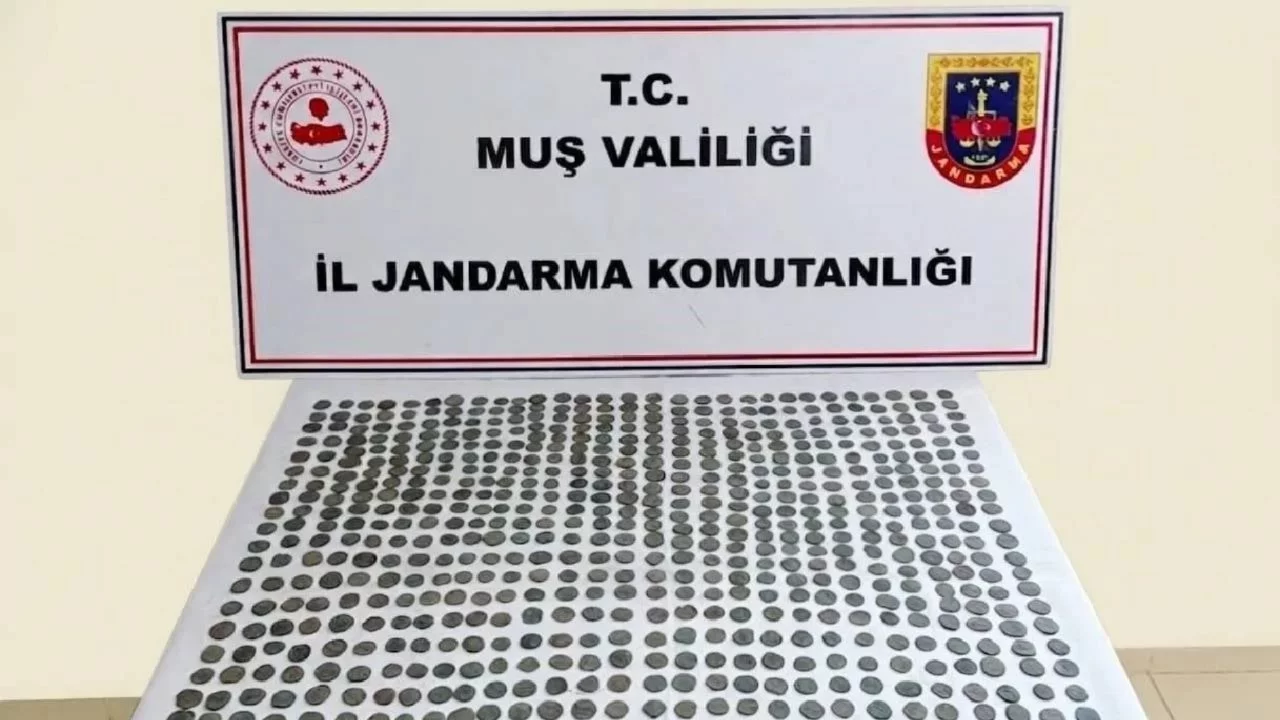 Muş'ta 749 sikke ele geçirildi: 4 gözaltı