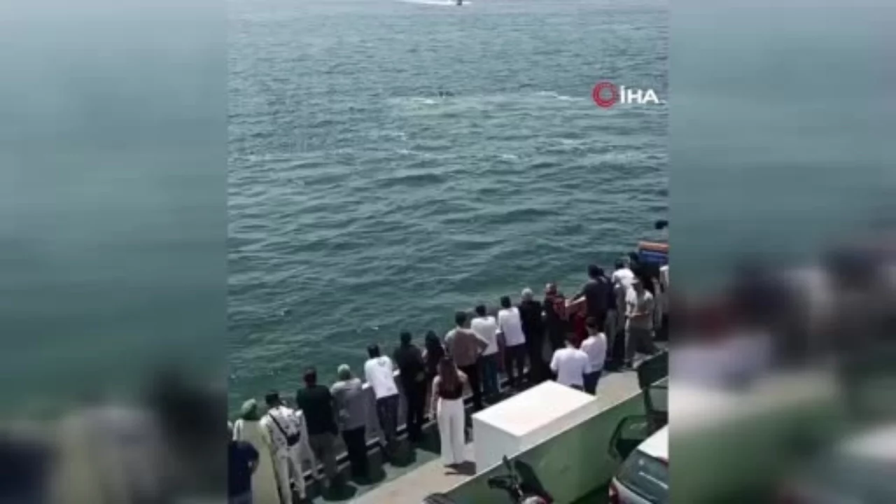 Feribottan denize düşen kişiye hayat kurtaran müdahale