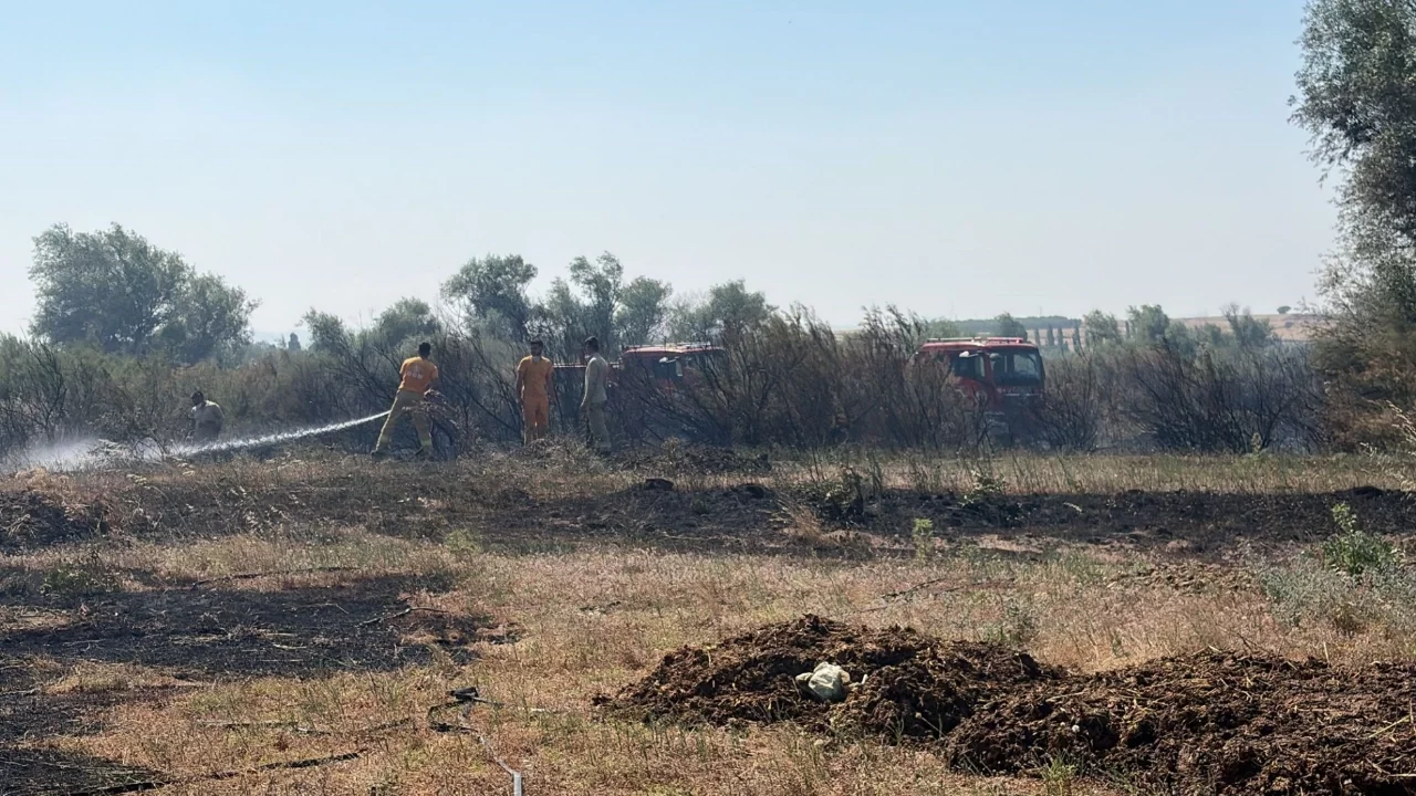 Balıkesir'de iki ayrı ilçede çıkan arazi yangınları söndürüldü