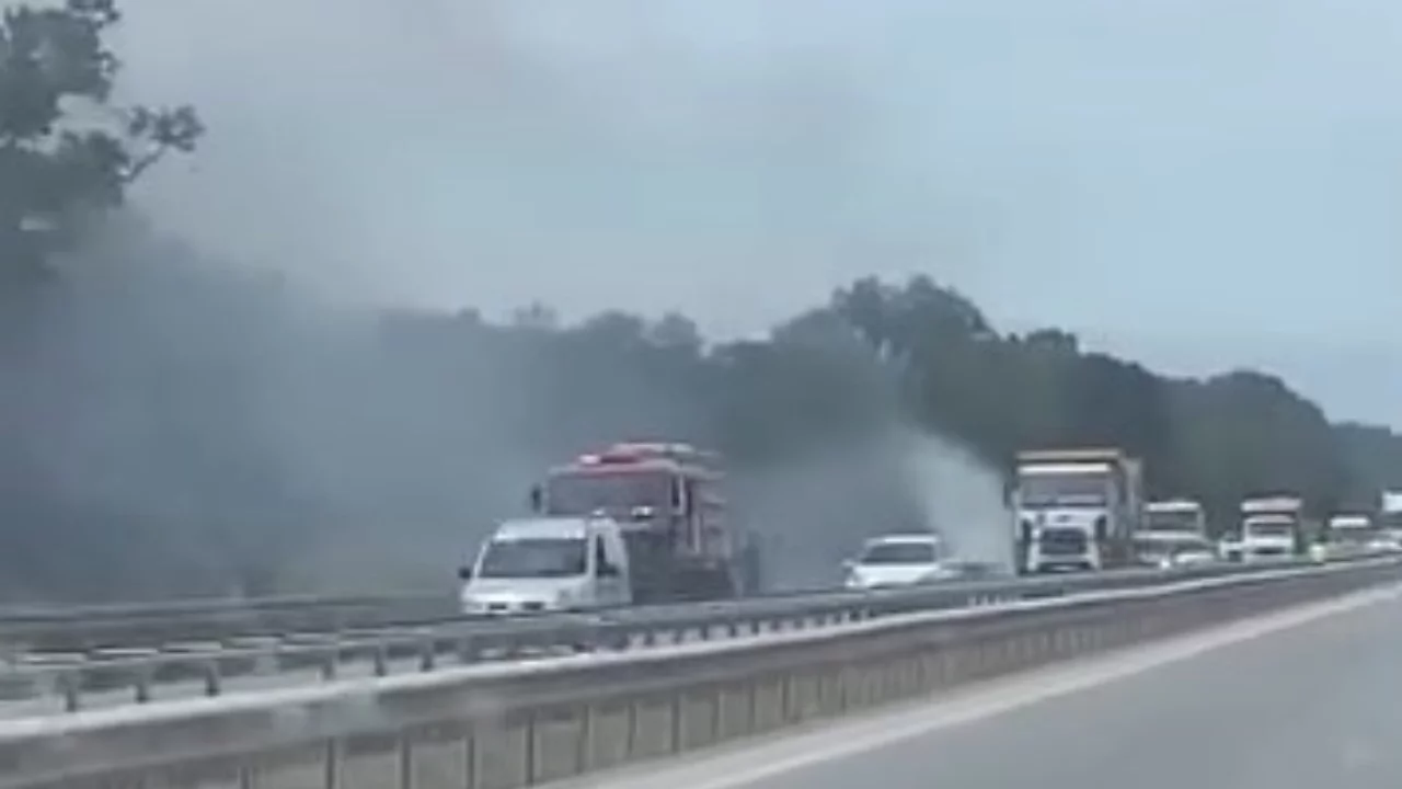İzmir-Bursa kara yolunda otluk alanda yangın paniği!