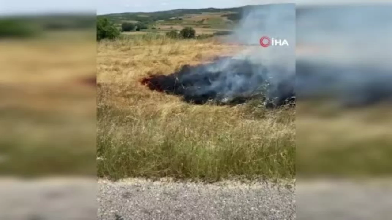 Edirne'de mera yangını: İtfaiye seferber oldu