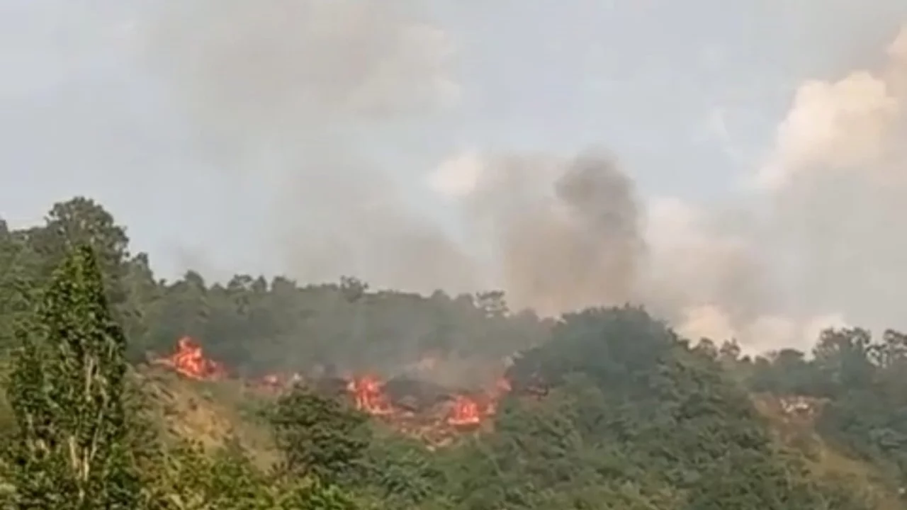 Bursa'da makilik alanda yangın paniği