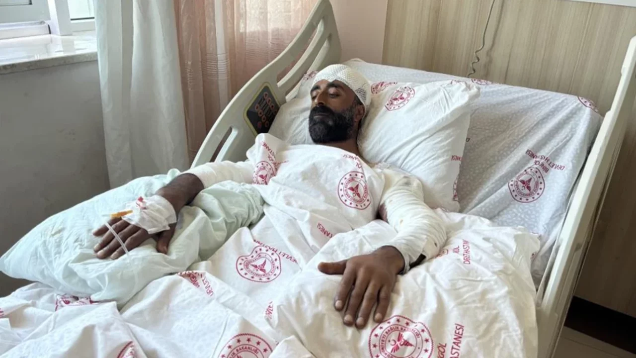 Mantar toplarken ayı saldırısına uğradı
