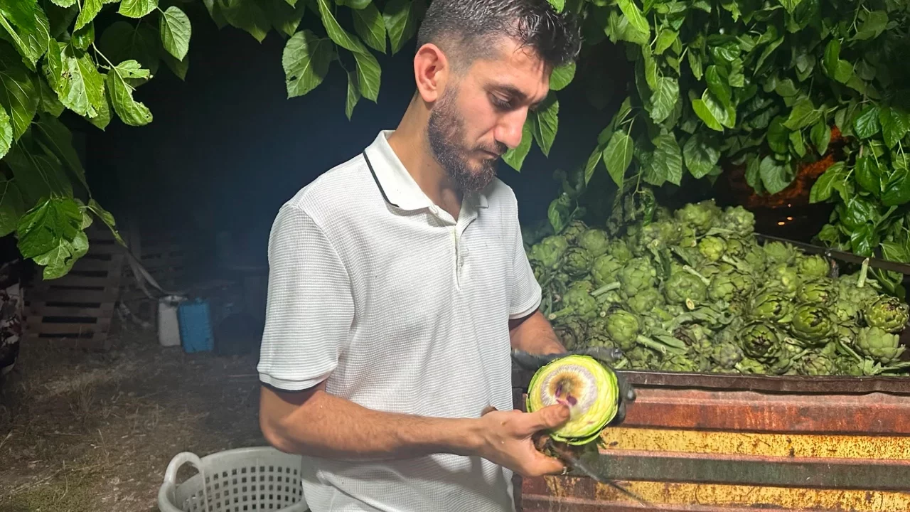 10 saniyede bir enginar soyuyor! Bursa'daki bu meslek duyanları şaşırtıyor
