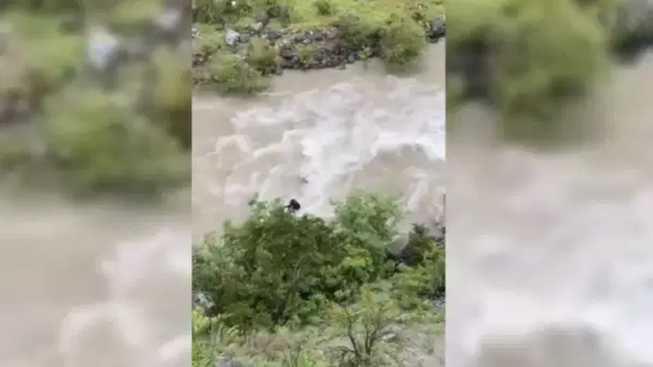 Artvin'de bir otomobil Çoruh Nehri'ne düştü: Baba ile oğlu aranıyor