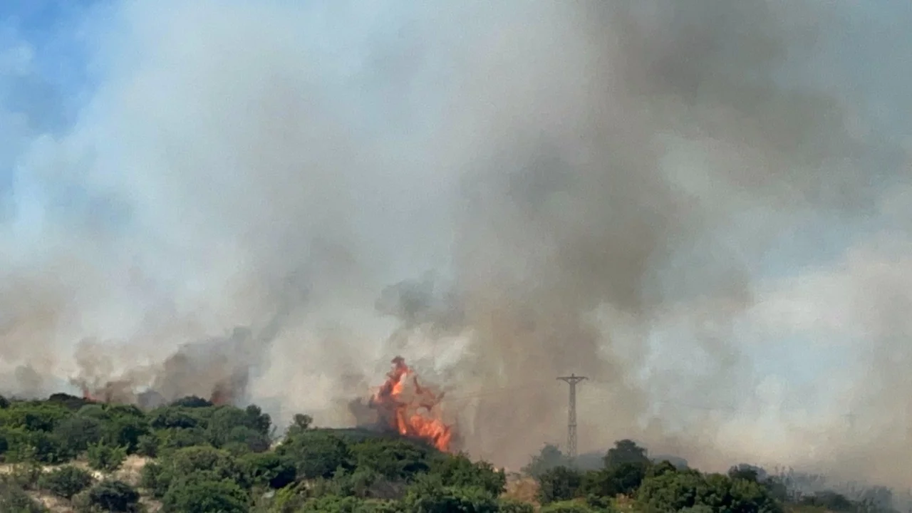 Çanakkale'de orman yangını