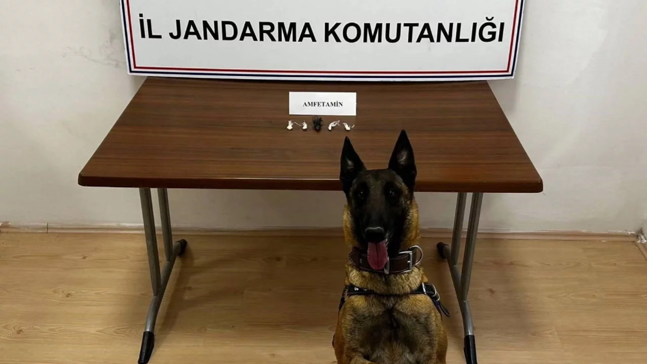 Uyuşturucu sevkiyatına operasyon: 2 şüpheli yakalandı