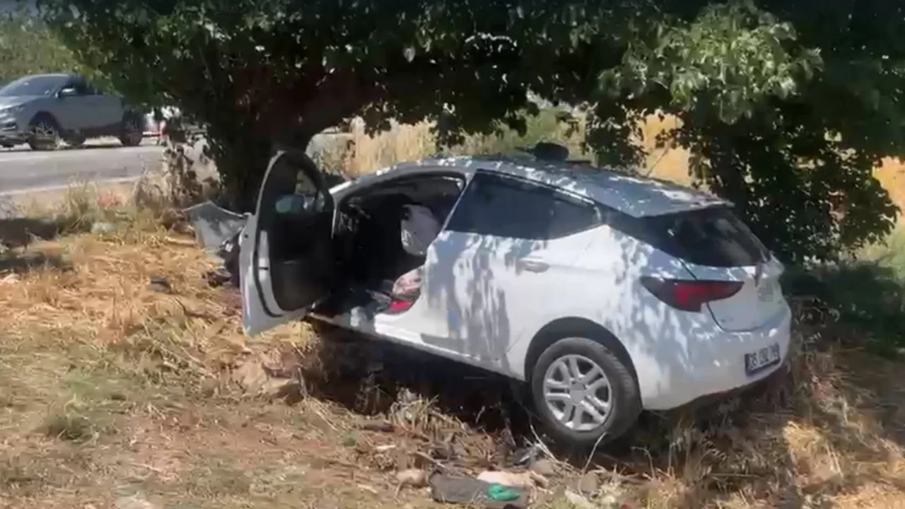Sollama yaparken ağaca çarptı: 4 kişi ağır yaralandı