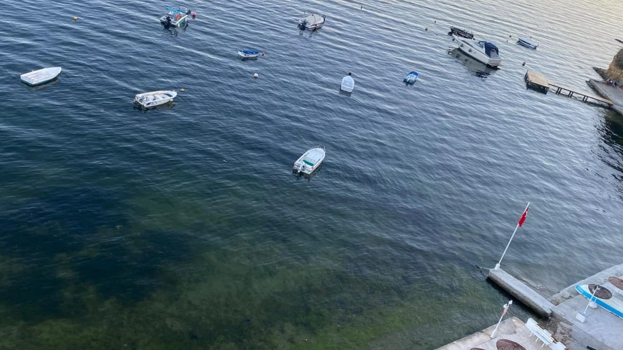 Gemlik Körfezi'nden sevindiren görüntüler: Müsilaja rastlanmadı