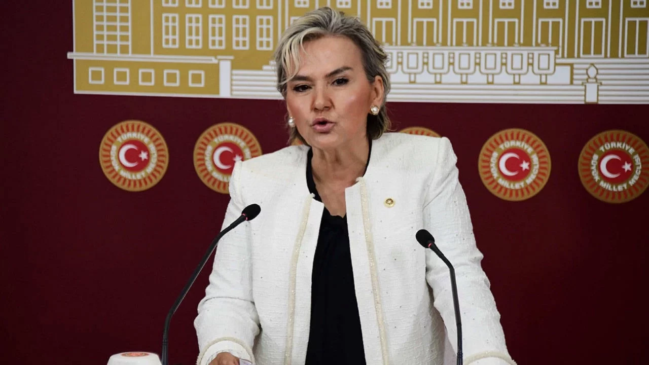 Nimet Özdemir CHP'den istifa etti