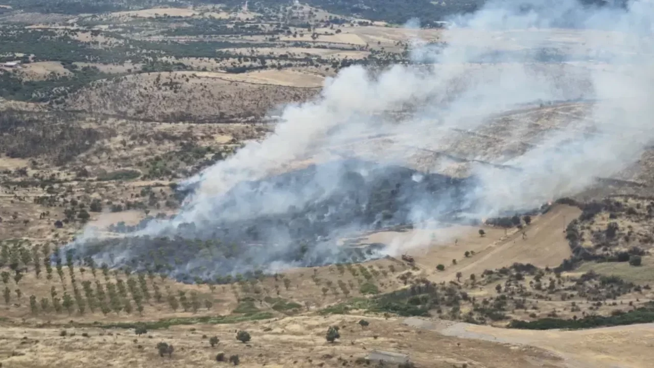 Çanakkale'de orman yangını: Ekipler bölgede