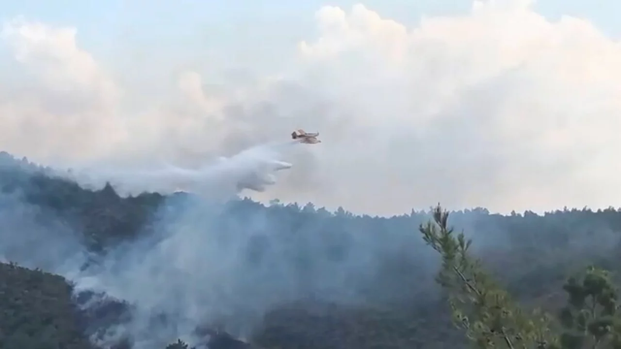 Muğla'da yıldırım düşmesi sonucu orman yangını çıktı