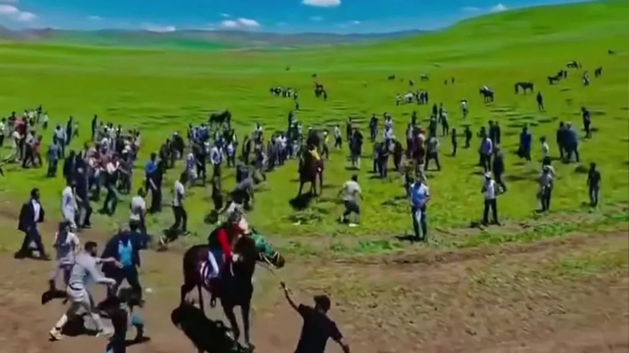 Erzurum'da ata kötü muameleye soruşturma