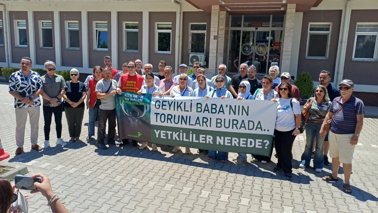 DOĞADER'den kızıl geyik ihalesine sert tepki: Katliam kararını ivedilikle geri çekin!