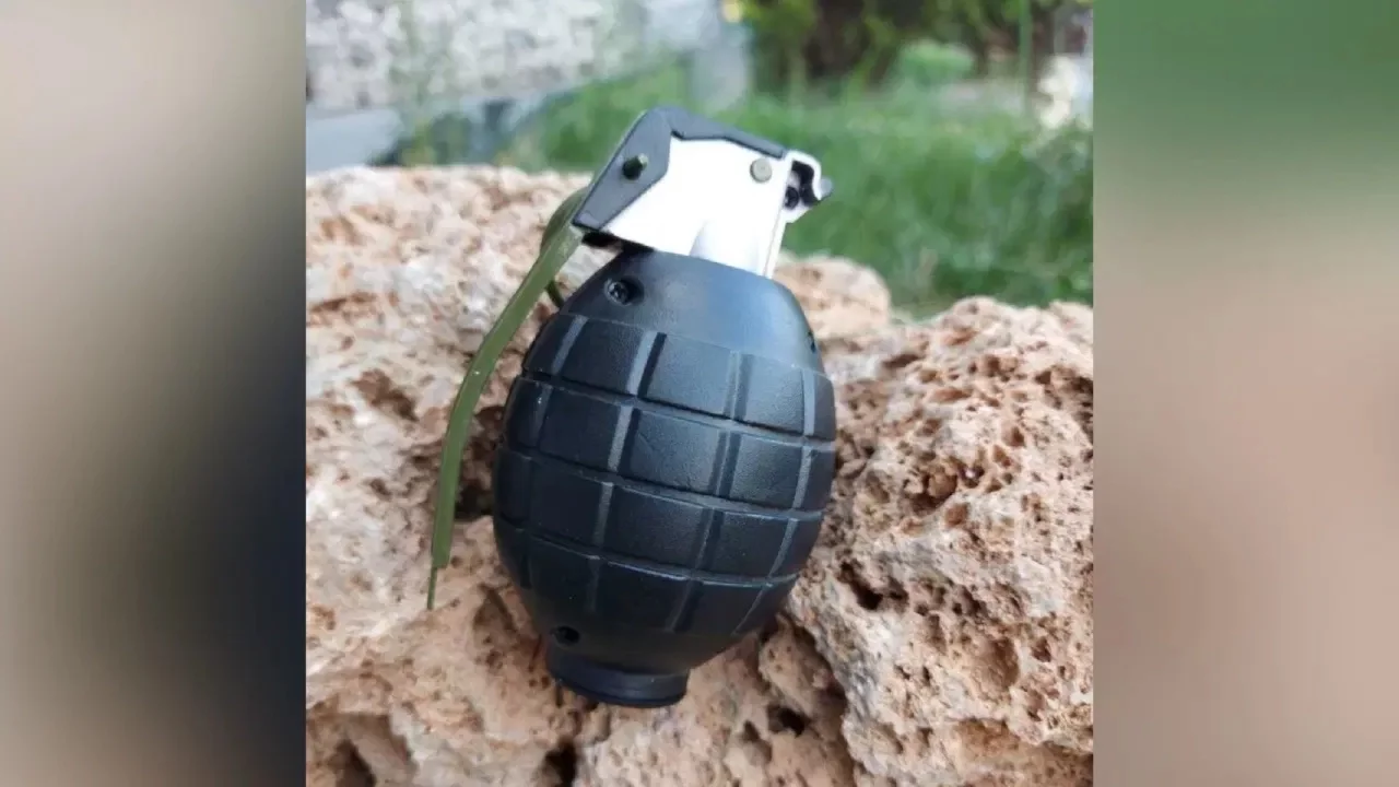 Sakarya'da mantar toplarken el bombası buldu
