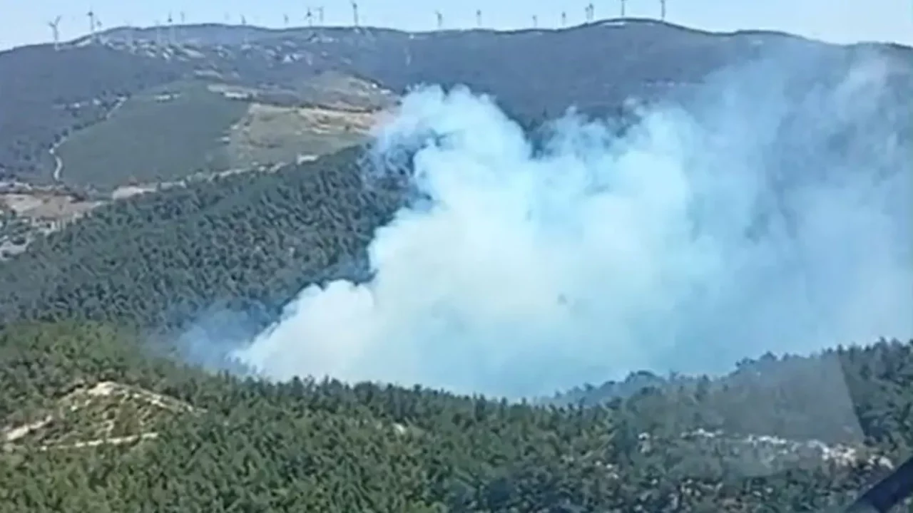 Manisa Soma'da orman yangını