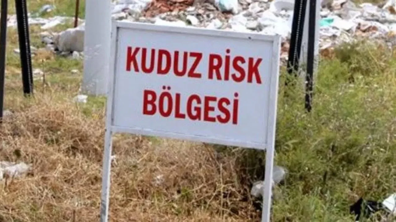 Bir ilde kuduz alarmı: O ilçe karantinaya alındı