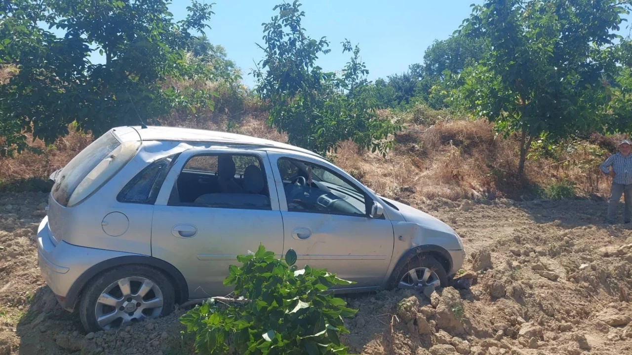 Bursa'da meyve bahçesine giren otomobildeki 4 kişi hafif yaralandı