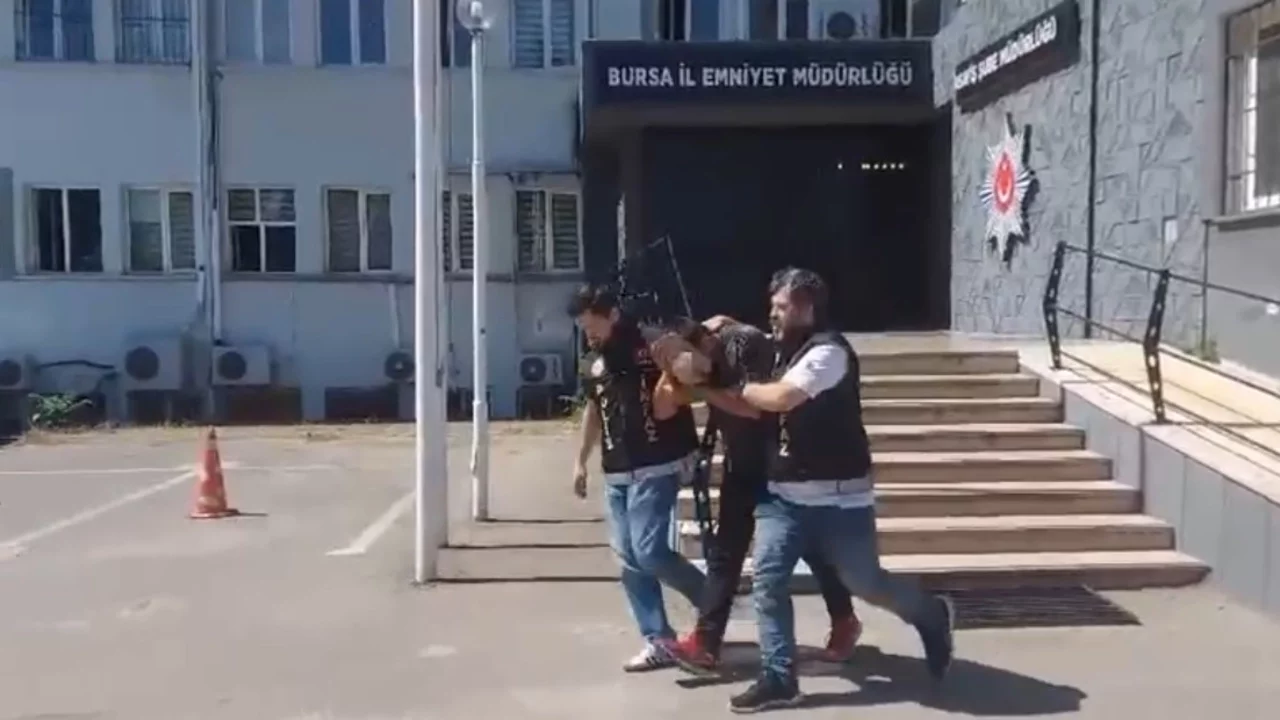 Bursa'da firarinin ilginç kaçış planı! Polisleri görünce kayısı toplamaya başladı