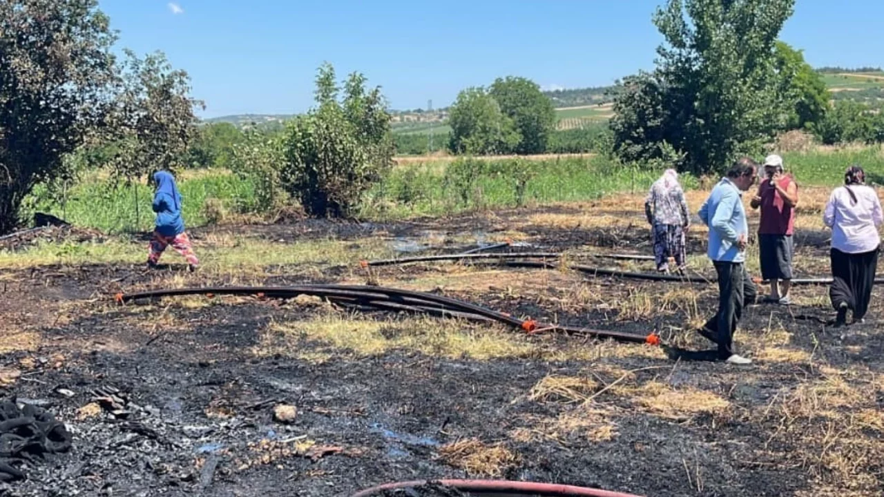 Bursa'da anız alevi 20 dönümü küle çevirdi