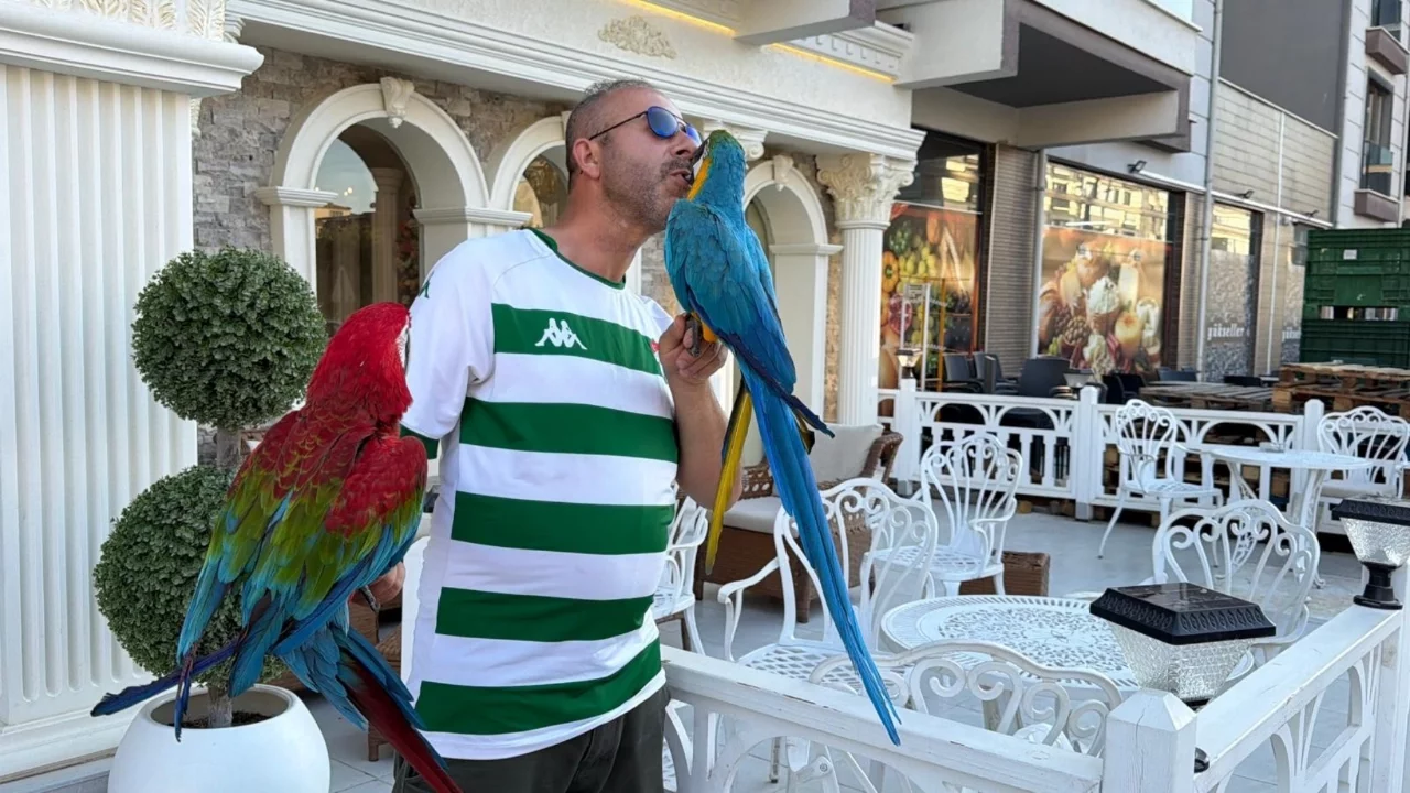 Bursa'da papağanlarıyla gezen adam herkesin ilgi odağı oldu