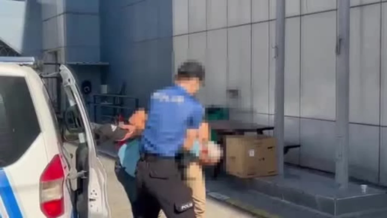 İstanbul'da köpeğe şiddet uygulayan şüpheli yakalandı