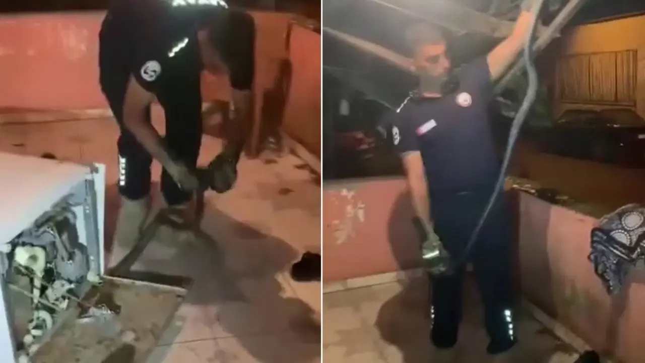 Bulaşık makinesinden 2 metrelik yılan çıktı