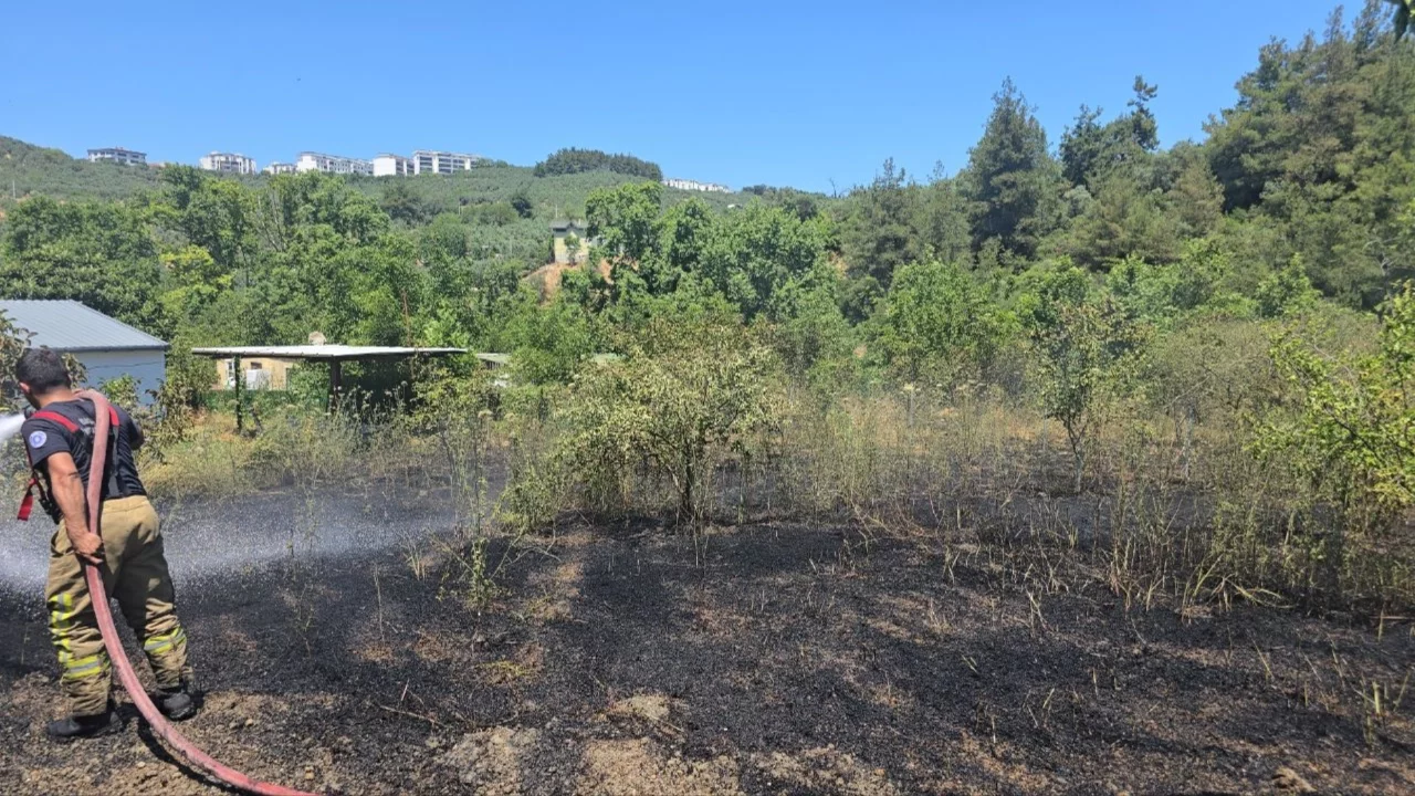 Bursa'da bağ evinin bahçesinde çıkan yangın, yaklaşık 4 dönümlük alanda zarara yol açtı