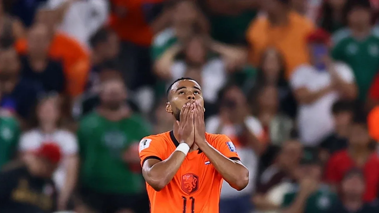 Hollanda-Fas maçına damga vuran an!