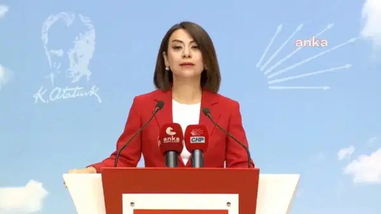 CHP'li Gamze Taşcıer: "Kadın cinayetleri kader değil, siyasi tercihlerin sonucudur"