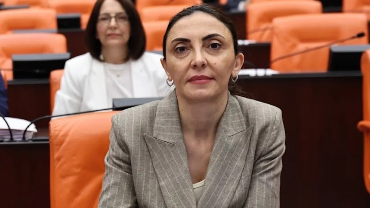 CHP Bursa Milletvekili Kayışoğlu yurt dışındaki vatandaşların sürücü belgesi mağduriyetini TBMM g...