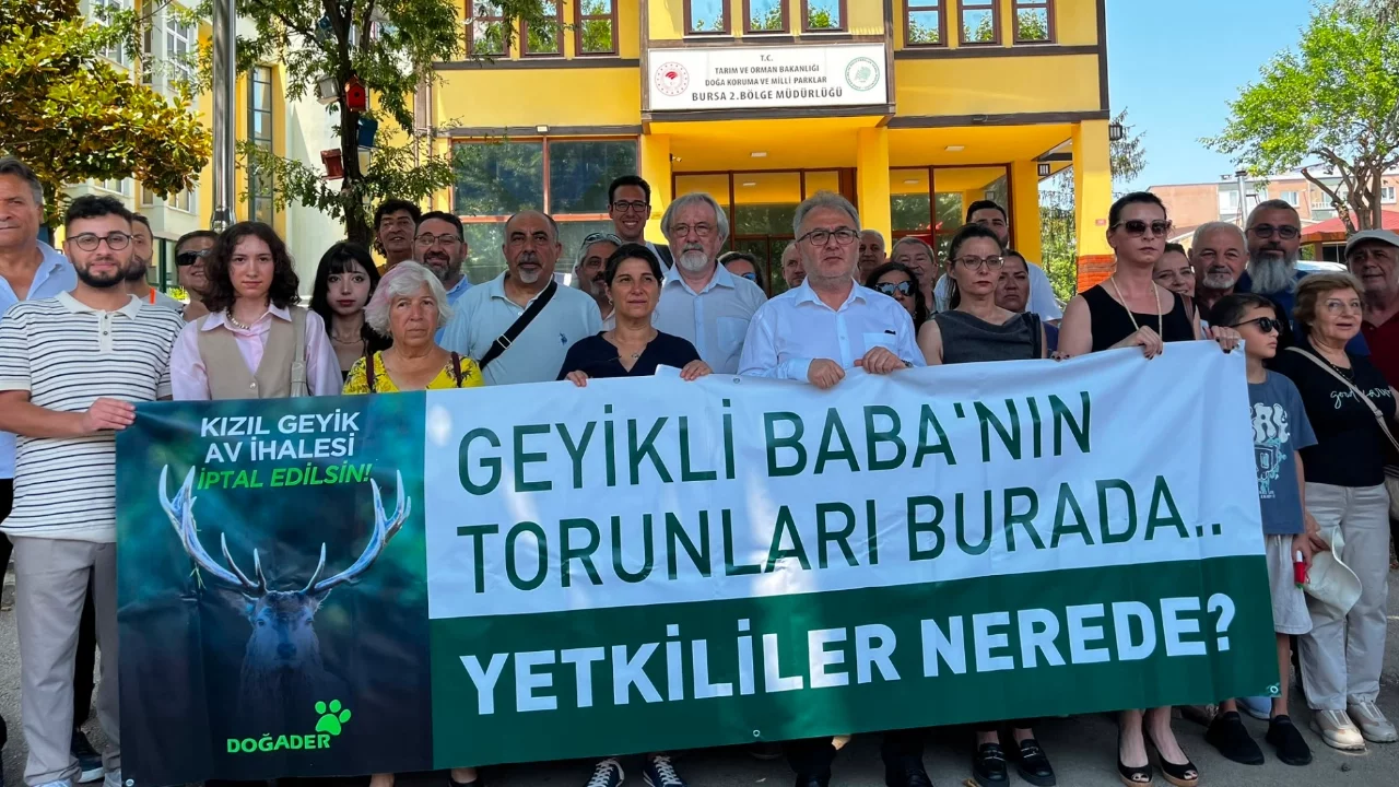 Bursa'da kızıl geyik av ihalesine tepki: "Av spor değil, cinayettir"