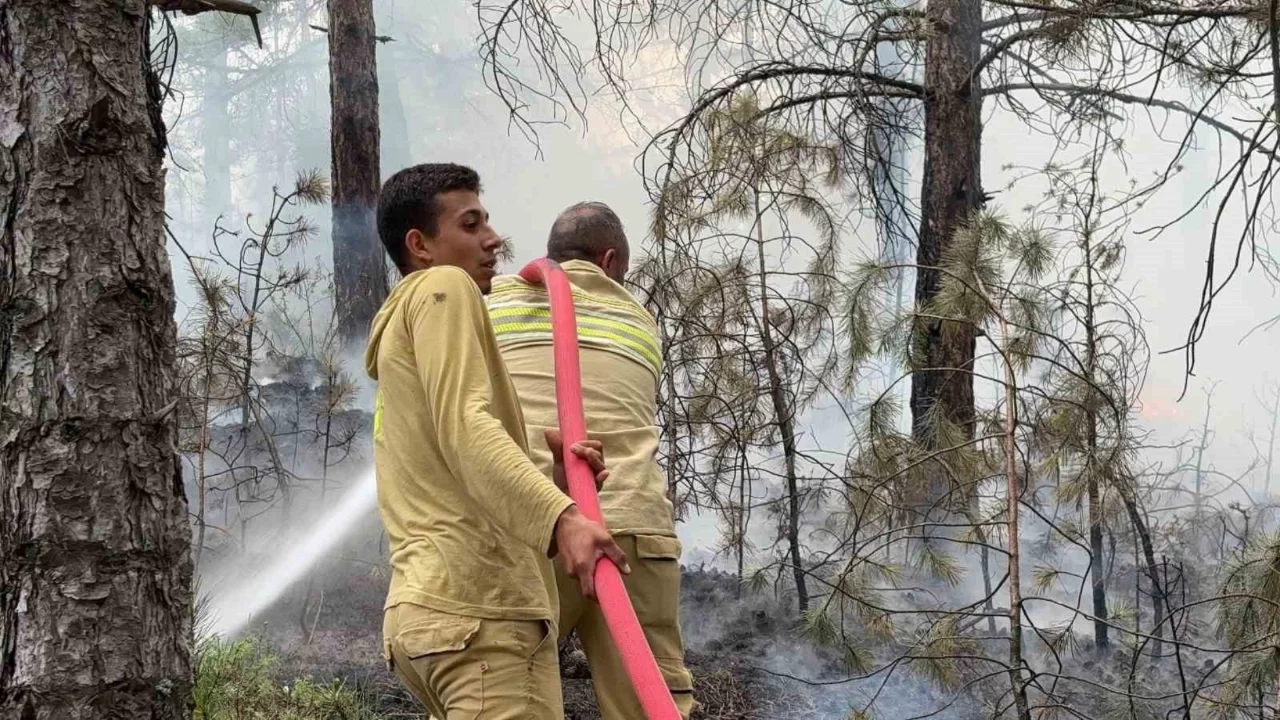 Kütahya'da ormanlık alanda çıkan yangın söndürüldü
