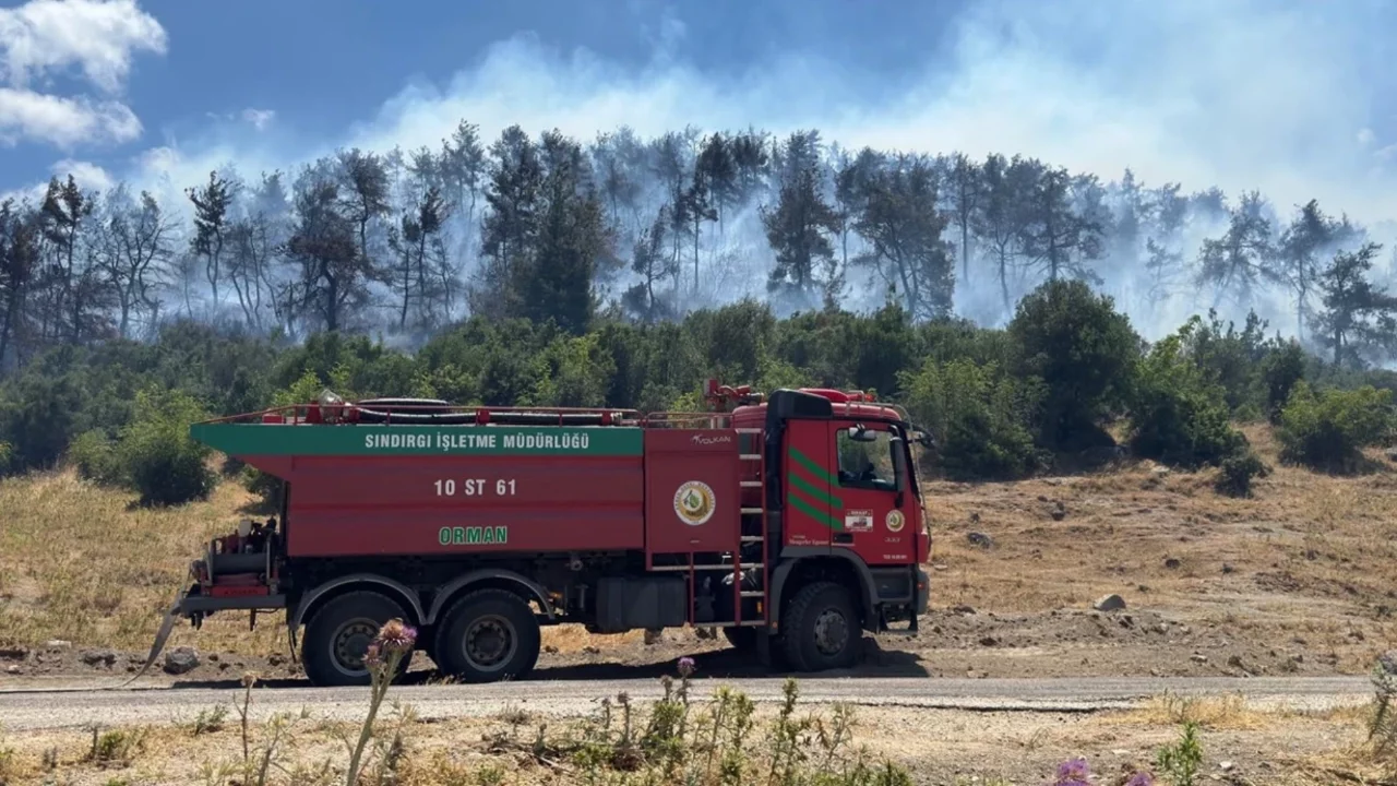 Balıkesir'de orman yangını