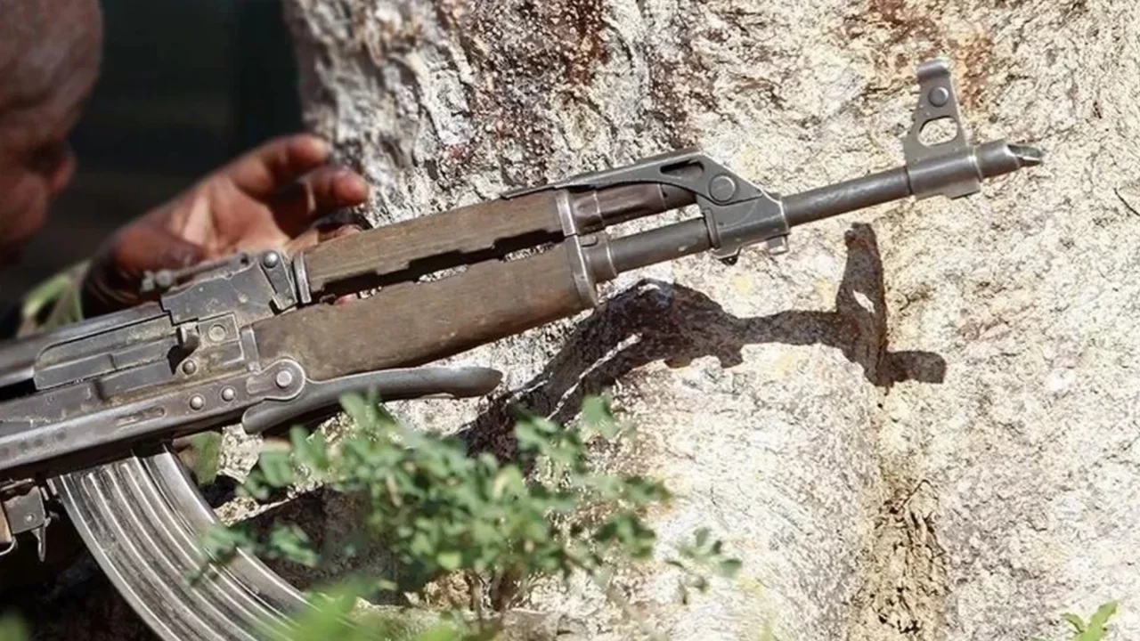 Somali'de 8 Eş-Şebab militanı etkisiz hale getirildi