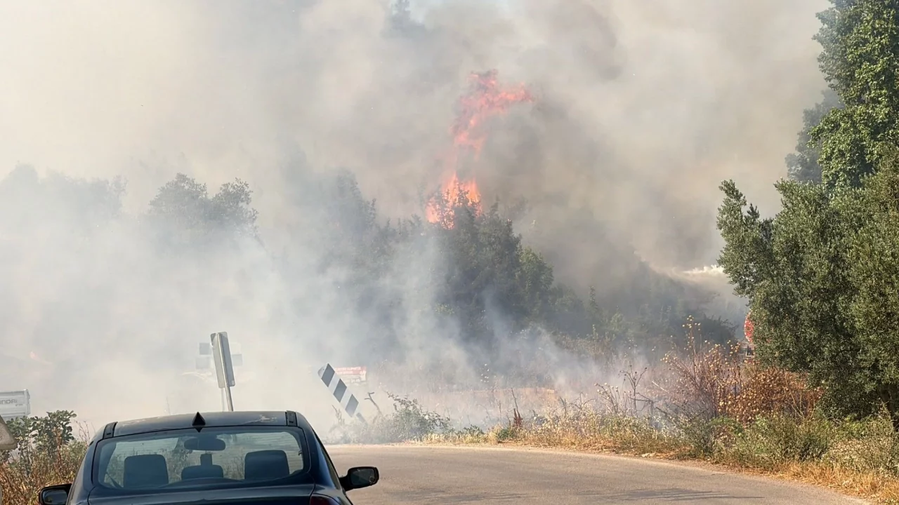 Bursa'da korkutan yangın