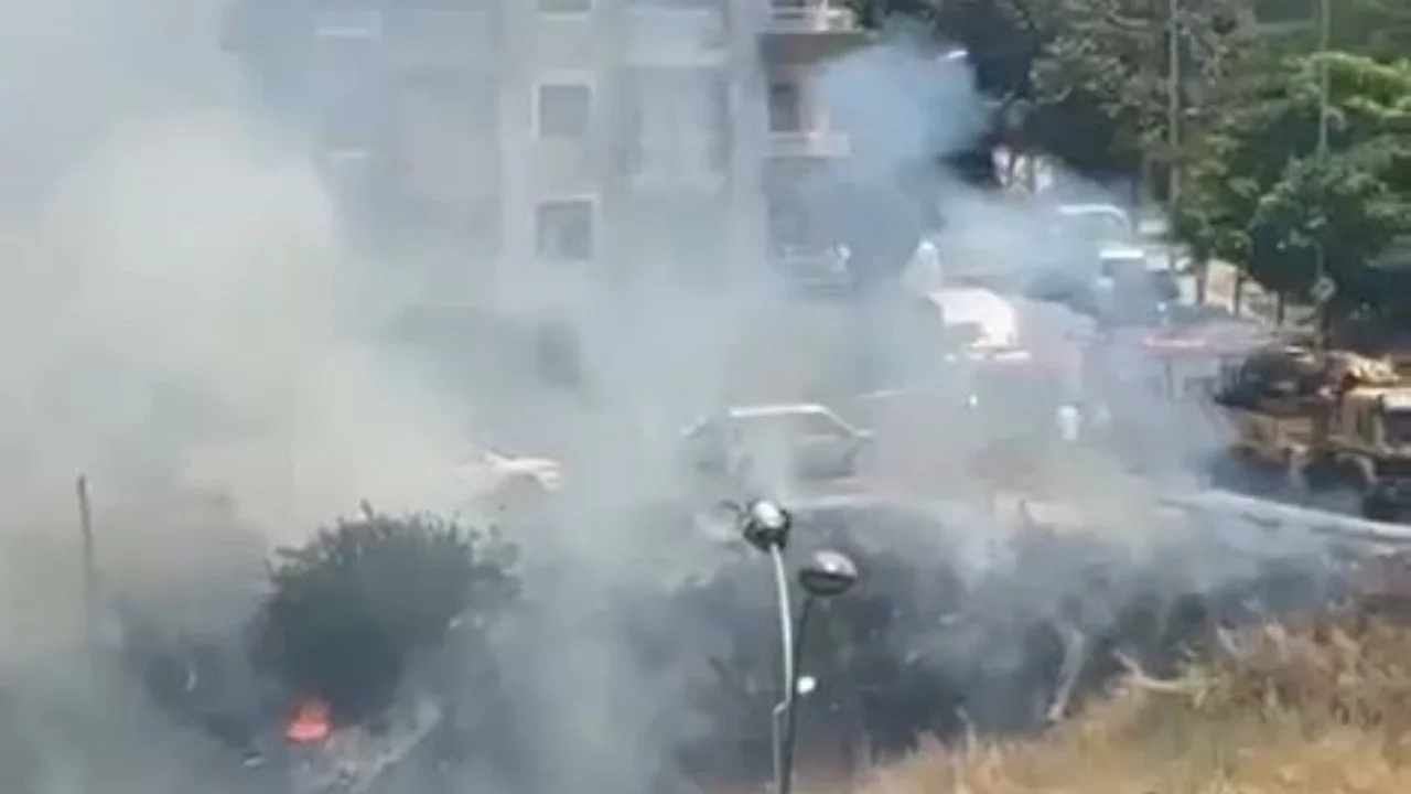 İstanbul'da yaşlı bir adam otluk alanı yakıp kaçtı