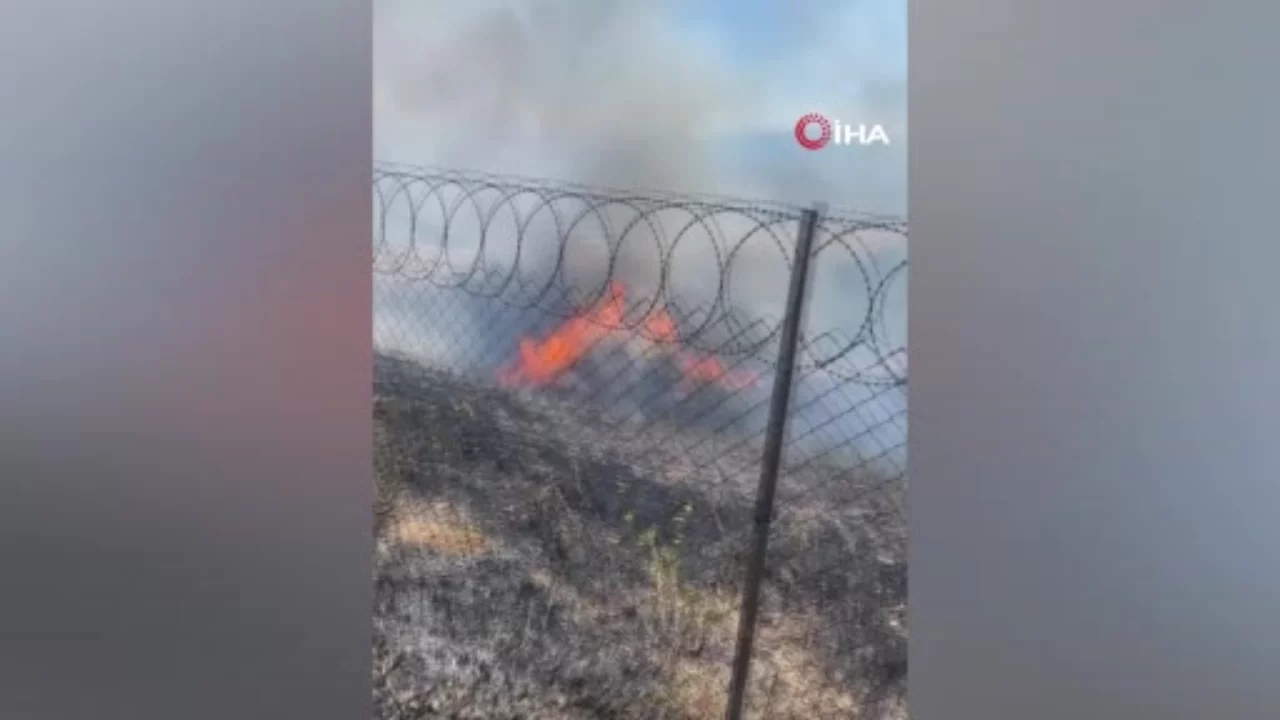 Bursa'daki yangında 100 dönüm ekili alan zarar gördü