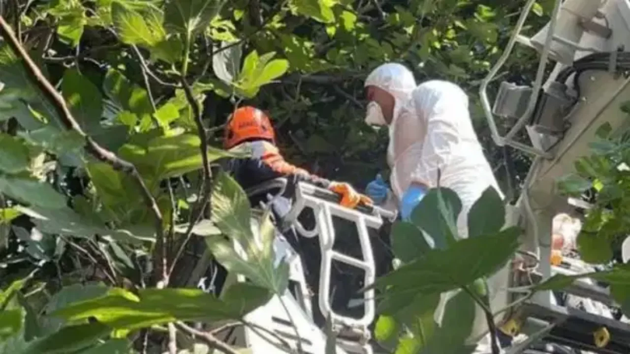 Hatay'da ağaca asılı halde cesedi bulunan şahsın kimliği belirlendi
