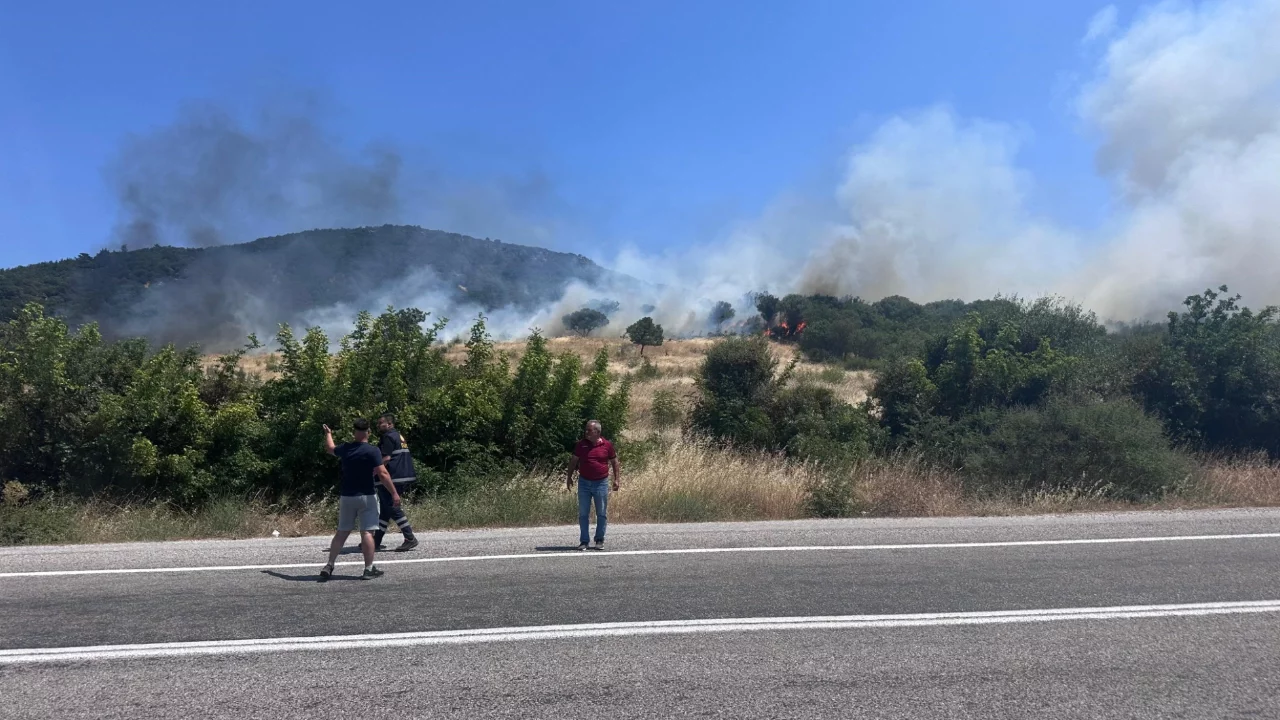 Ayvacık'ta orman yangını