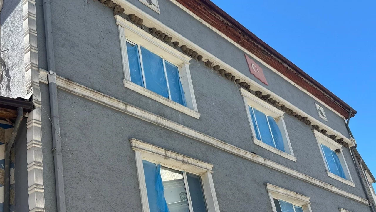 Bursa'da kırlangıç yuvalarını bozmayıp pencereleri naylonla kapladılar